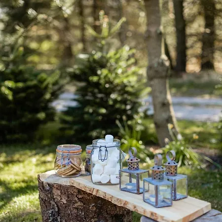Authentic Log House Amid Evergreens In Vendsyssel Fjerritslev
