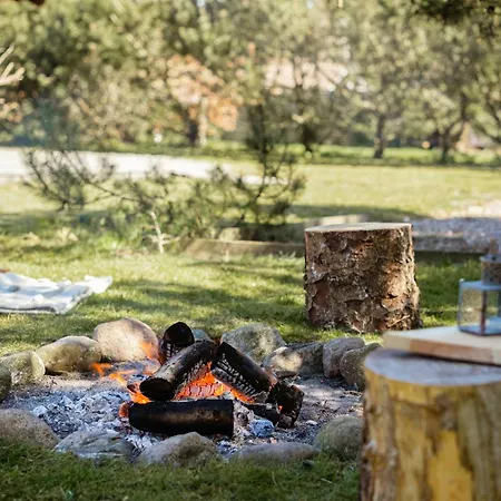 Authentic Log House Amid Evergreens In Vendsyssel Fjerritslev